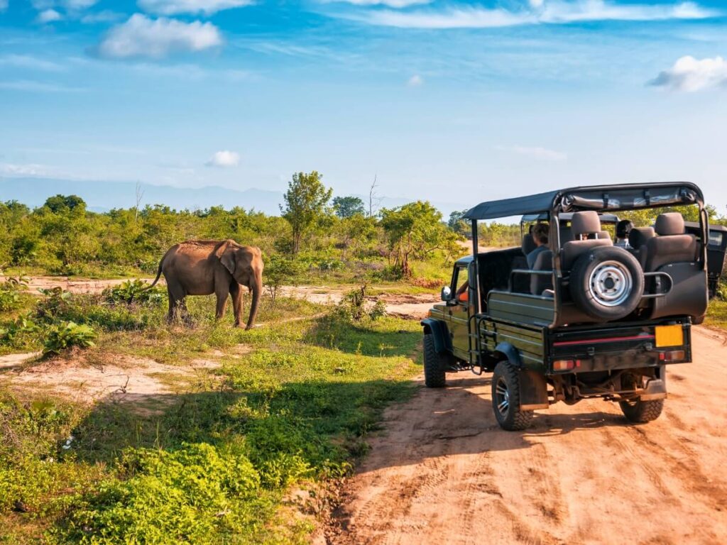 Best Travel Agency in Nepal
